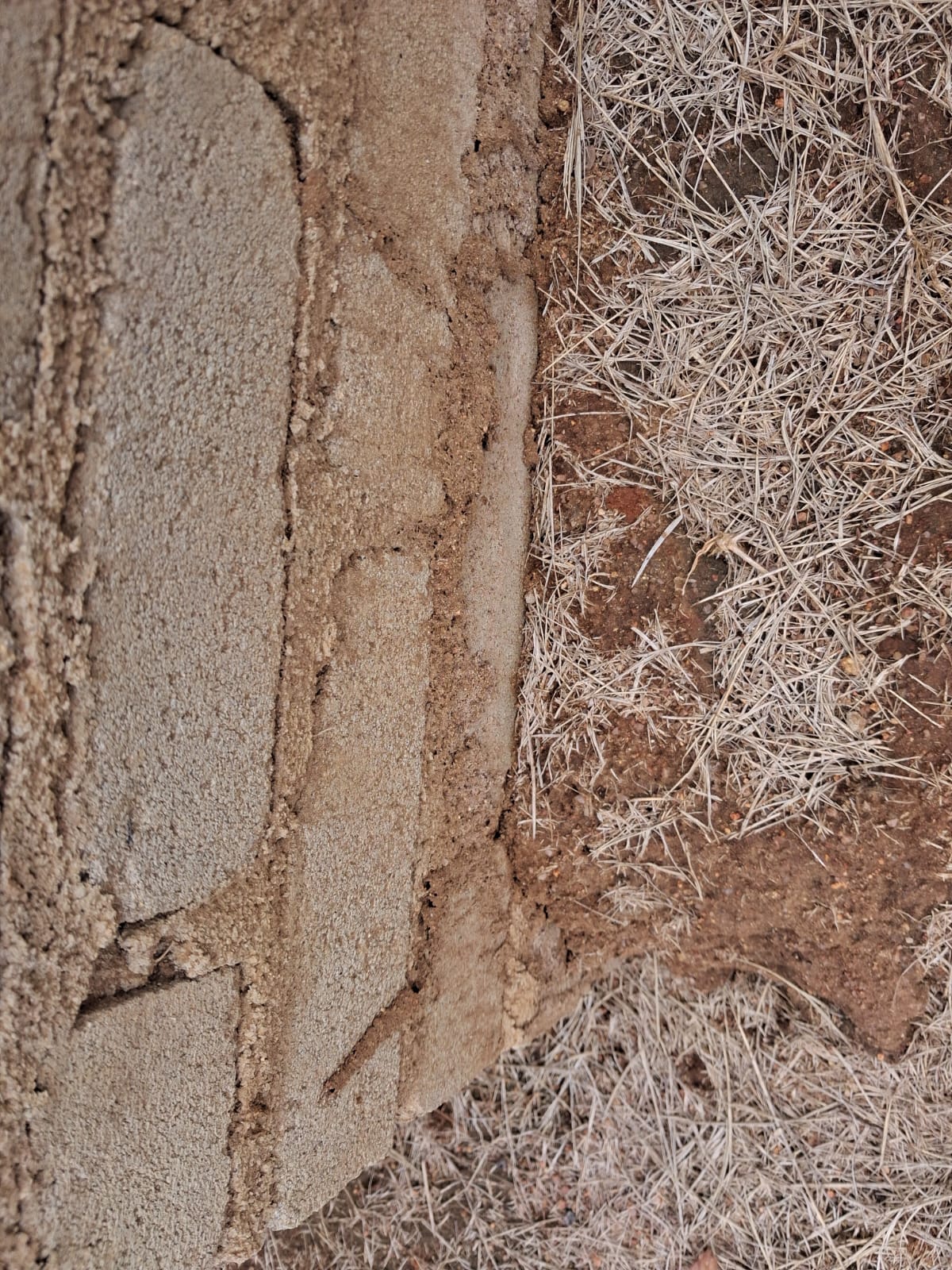 Pre-construction soil treatment on site