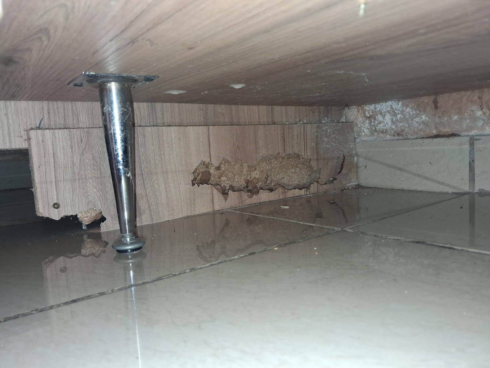 Commercial site pest control treatment